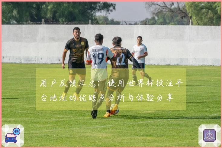 用户反馈汇总：使用世界杯投注平台地址的优缺点分析与体验分享