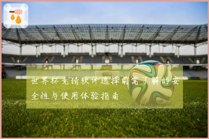 世界杯竞猜软件选择前需了解的安全性与使用体验指南