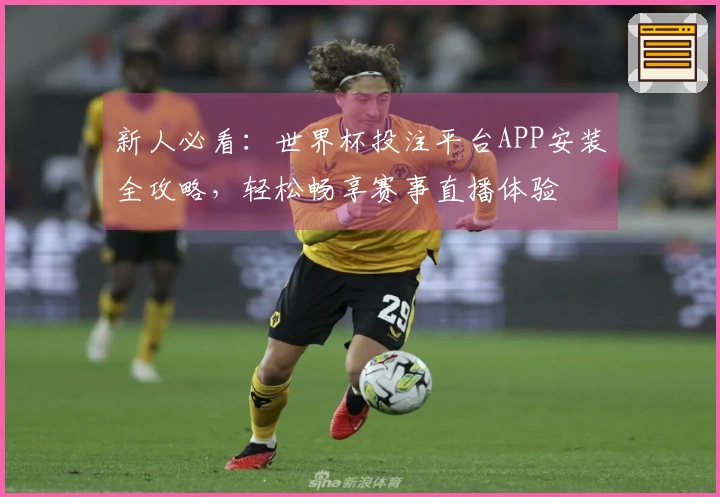 新人必看：世界杯投注平台APP安装全攻略，轻松畅享赛事直播体验