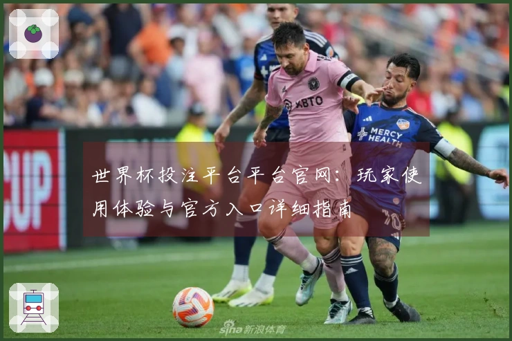 世界杯投注平台平台官网：玩家使用体验与官方入口详细指南