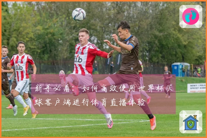 新手必看：如何高效使用世界杯买球客户端进行体育直播体验