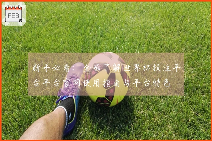 新手必看:全面了解世界杯投注平台平台官网使用指南与平台特色