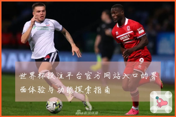 世界杯投注平台官方网站入口的界面体验与功能探索指南