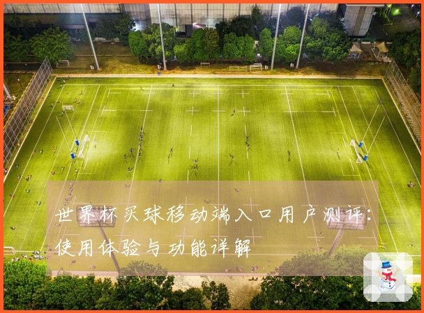 世界杯买球移动端入口用户测评：使用体验与功能详解