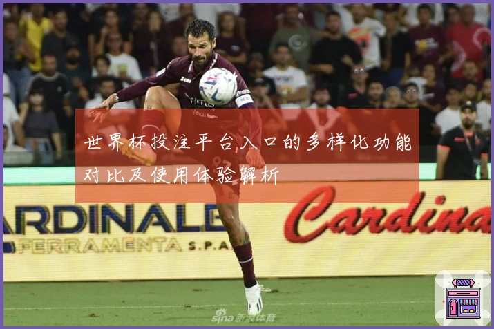 世界杯投注平台入口的多样化功能对比及使用体验解析