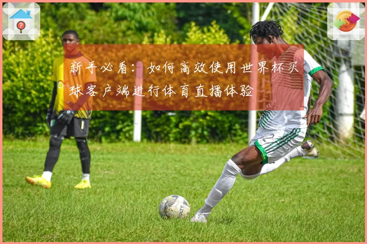 新手必看：如何高效使用世界杯买球客户端进行体育直播体验