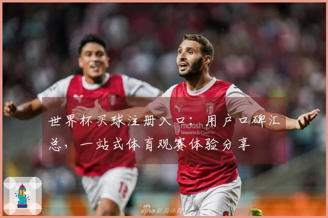 世界杯买球注册入口：用户口碑汇总，一站式体育观赛体验分享