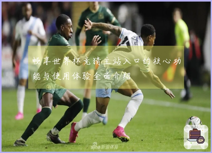 畅享世界杯竞猜主站入口的核心功能与使用体验全面介绍
