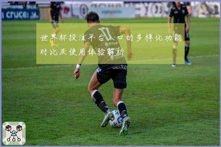 世界杯投注平台入口的多样化功能对比及使用体验解析