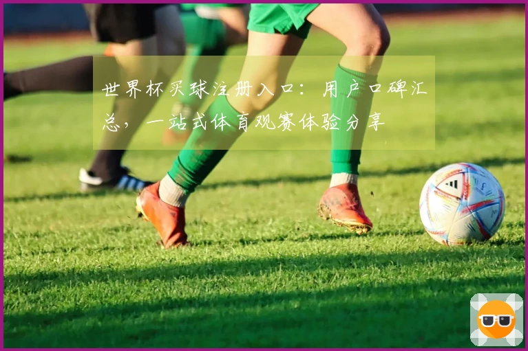 世界杯买球注册入口：用户口碑汇总，一站式体育观赛体验分享