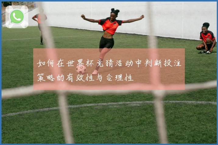 如何在世界杯竞猜活动中判断投注策略的有效性与合理性