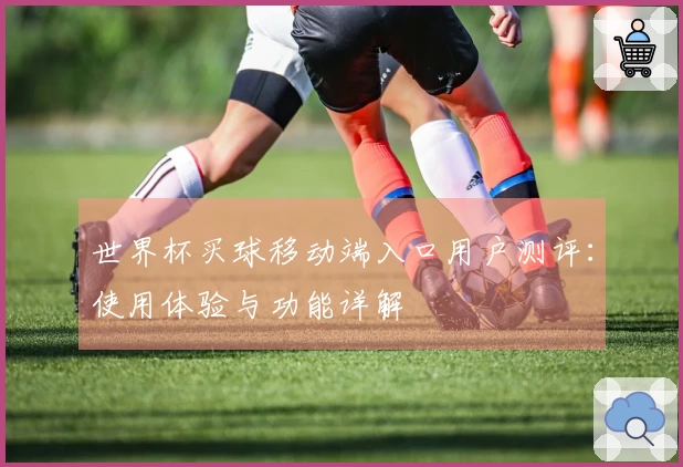 世界杯买球移动端入口用户测评：使用体验与功能详解